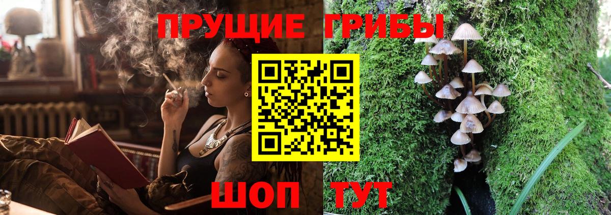 Галлюциногенные грибы прущие грибы  Псилоцибиновые грибы прущие грибы  Вход с VPN  дарнет шоп  Ростов Великий 