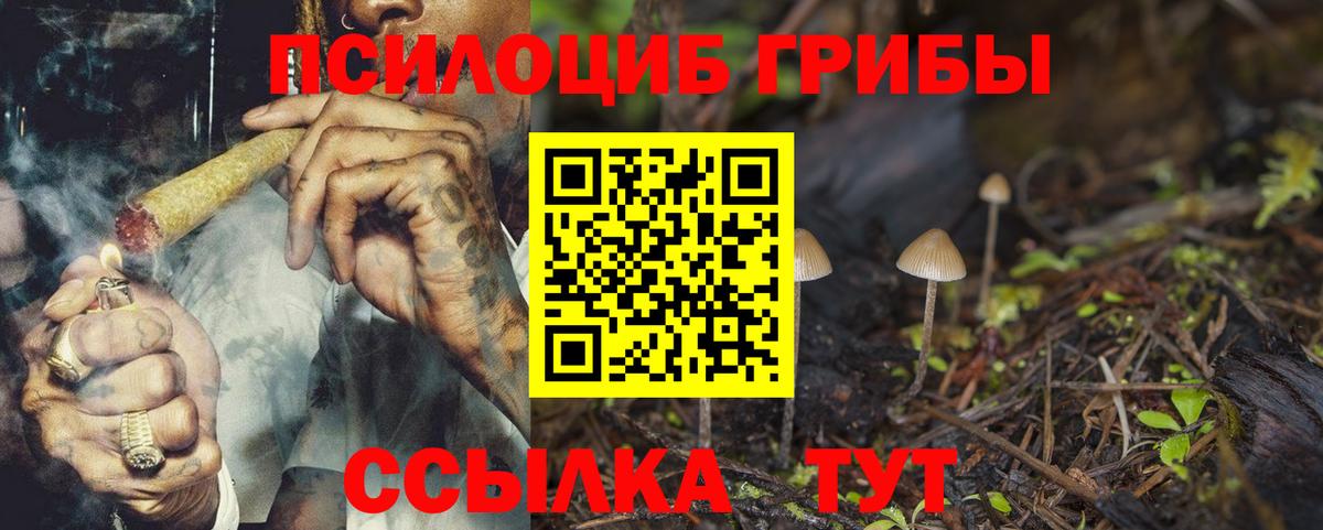 Галлюциногенные грибы Psilocybe Ростов Великий