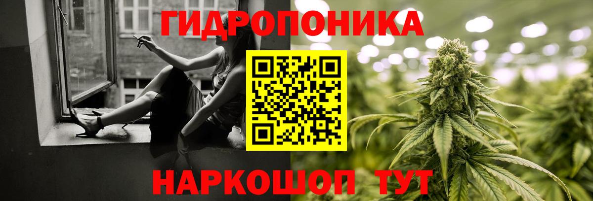Канабис конопля Ростов Великий